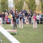 img_4139