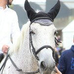 img_4321