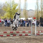 img_4371