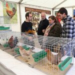 img_4479