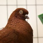 img_4590