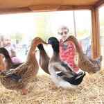 img_4995