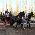 img_5131