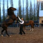 img_5294