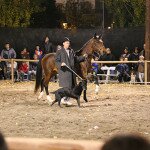 img_5405