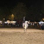 img_5430