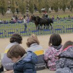 IMG_6600