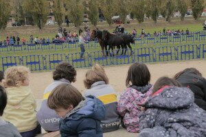 IMG_6600