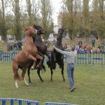 IMG_6608