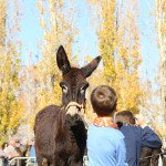 IMG_6944