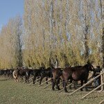 IMG_7091