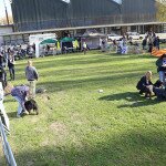 IMG_7175