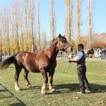 IMG_7188