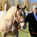 IMG_7215