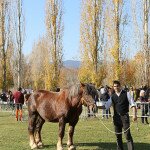 IMG_7257