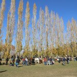 IMG_7293
