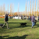 IMG_7295