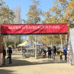 IMG_7456