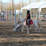 IMG_7659