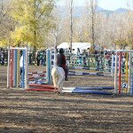 IMG_7661