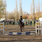 IMG_7736