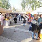 IMG_7747