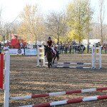 IMG_7892