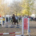 IMG_7923