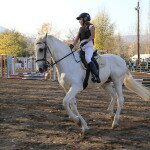 IMG_7930
