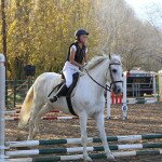IMG_7940