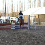 IMG_7985