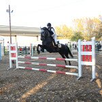IMG_8031