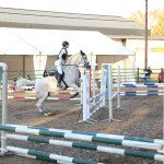 IMG_8041