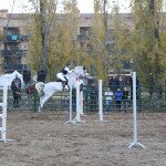 IMG_8217