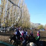 IMG_8486