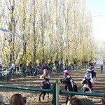 IMG_8490