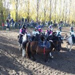 IMG_8608
