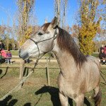 IMG_8719
