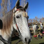 IMG_8844