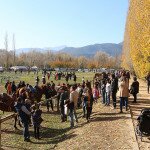 IMG_8902