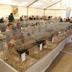 IMG_8973