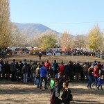 IMG_9031
