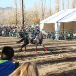 IMG_9062