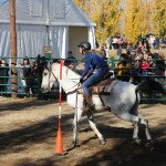 IMG_9115