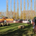 IMG_9184