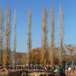 IMG_9188