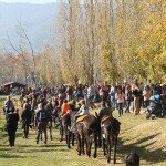 IMG_9389