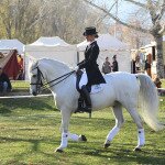 IMG_9737