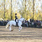IMG_9815