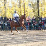 IMG_9912